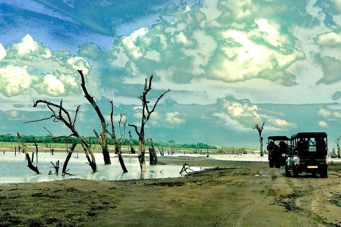 Ultimate 8-Day Sri Lanka Adventure: Private Guided Tour - Key highlights worth marking