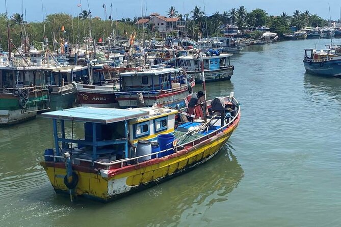 Visit Negombo by Scooty - All Inclusive - Negombo Fish Market: the sea-to-street part of the day