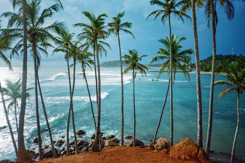 Visit sri Lanka 7 Days Round Trip - Little Adam’s Peak and Nine Arch Bridge: viewpoint payoff