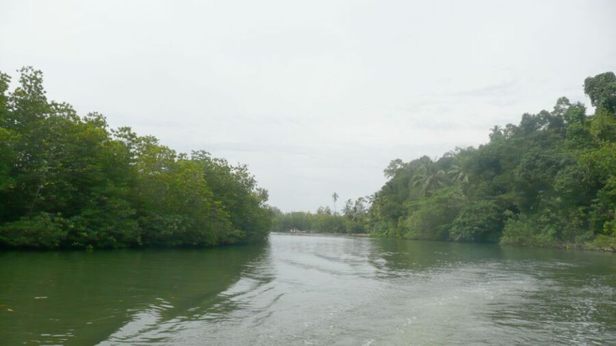 West coast Beach, River Mangroves lagoon, Wildlife boat Tour - Who this tour suits (and who should skip)