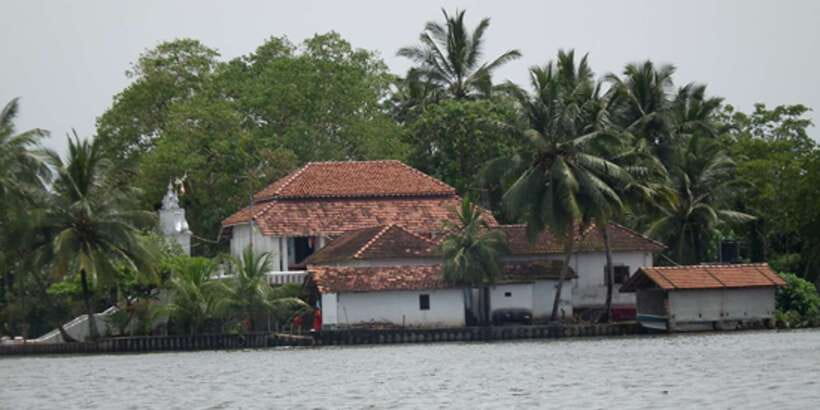 West coast Beach, River Mangroves lagoon, Wildlife boat Tour - Wildlife chances on the water: birds, reptiles, and patience