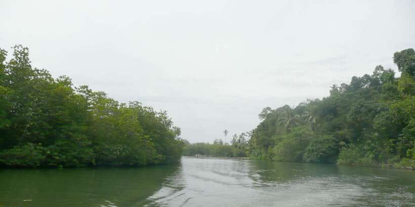 West coast Beach, River Mangroves lagoon, Wildlife boat Tour - Ancient temple island + the mask museum: culture with context