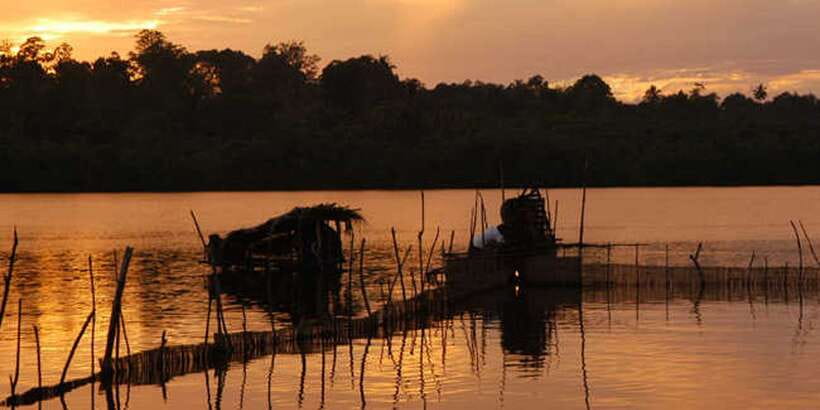 West coast Beach, River Mangroves lagoon, Wildlife boat Tour - Price and value: what $90 includes, and what can add up