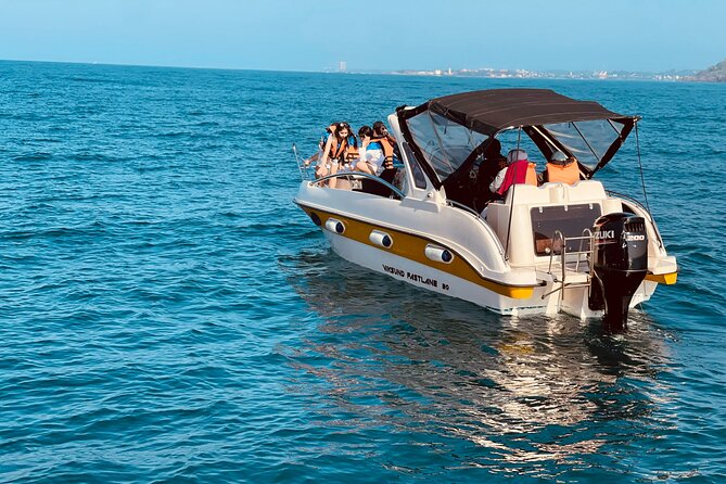 Whale Watching From Colombo - Key things to know before you go