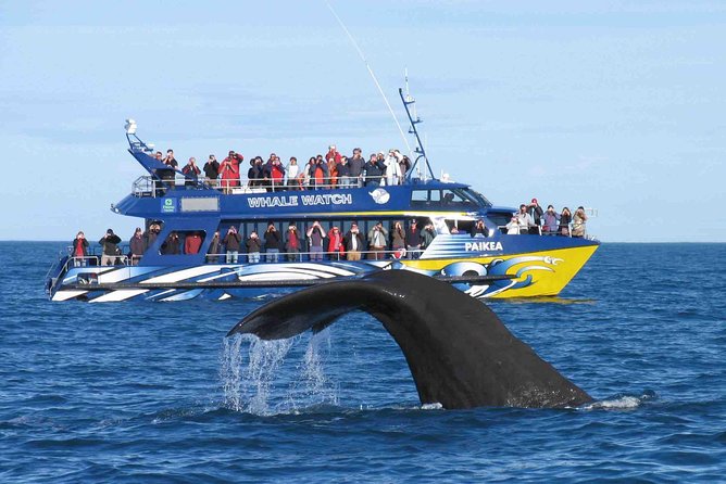 Whale Watching From Colombo - Parrot Rock Bridge in Mirissa: the calm pause you’ll be glad you have