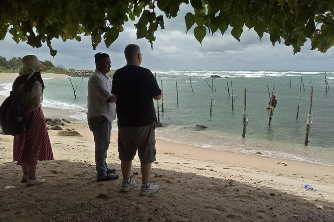 Whales Watching Mirissa Day Tour - Kosgoda Sea Turtle Conservation Project: learning that doesn’t feel like a lecture