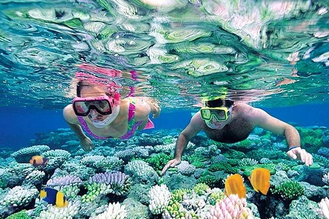 Whales Watching Mirissa Day Tour - Jungle Beach snorkeling: gear is included, but towels are on you