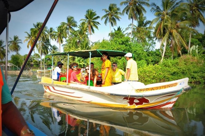 Wildlife Sri Lanka Tour 10 Days - Private comfort: air-conditioned transfers and an English-speaking guide