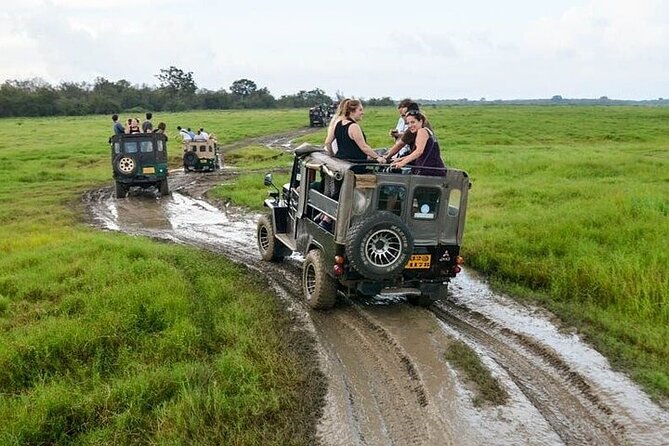 Wilpattu National Park Jeep Safari from Negombo / Waikkal (All Inclusive) - Why Wilpattu can feel calmer than other safari hotspots