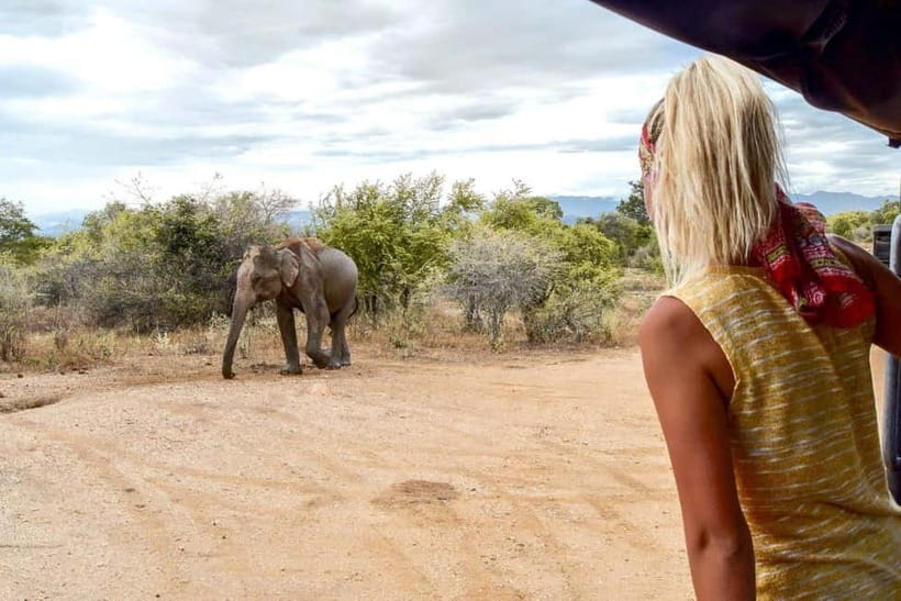 Wilpattu: Private Safari Day Trip with Lunch & Entry Fees - Why Wilpattu is worth your one big safari day