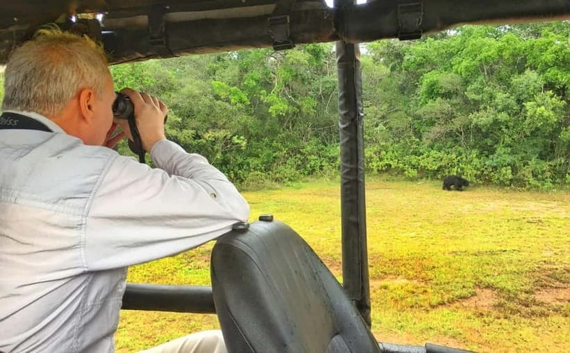 Wilpattu: Private Safari Day Trip with Lunch & Entry Fees - Wildlife moments you should be ready for (and how to react)