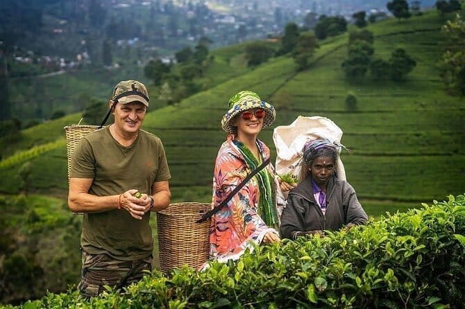 Wonderful Srilankan 14 Days Tours - Key things to know before you go