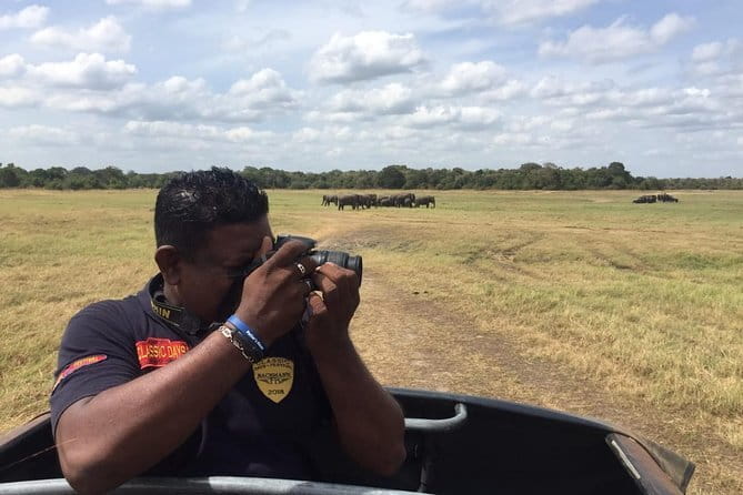 Yala National Park Private Jeep Safari From Colombo & Negombo - What animals you can expect to see in Yala