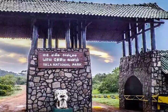Yala National Park Private Jeep Safari From Colombo & Negombo - Price and value: what the $250 covers, and what it does not
