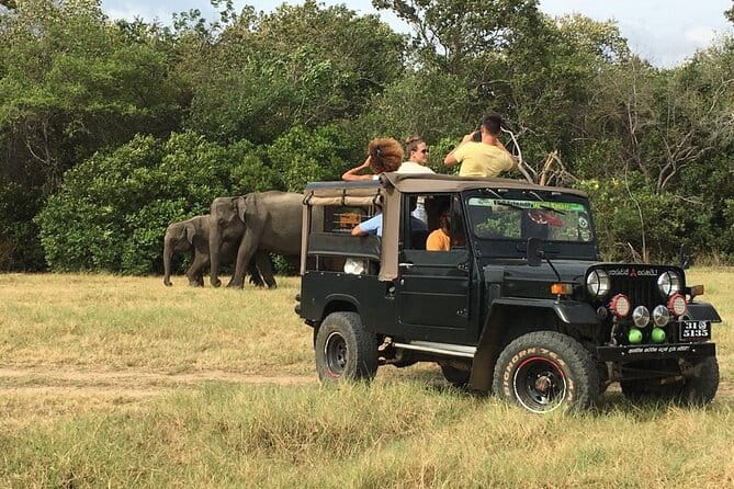Yala National Park Private Jeep Safari From Colombo & Negombo - Who this tour suits best