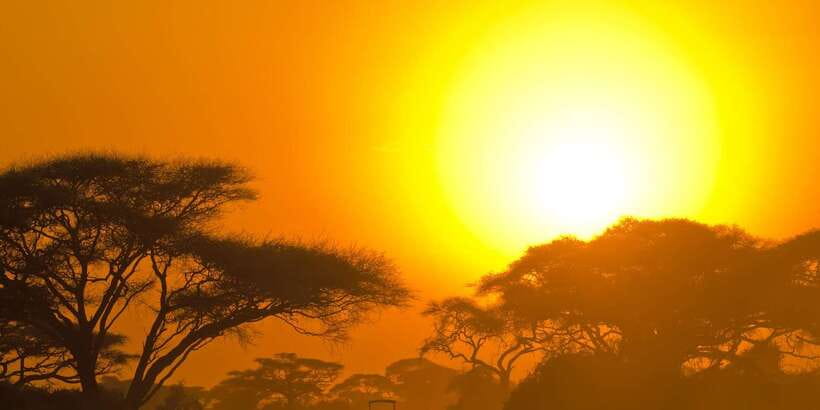 Yala Safari All-Inclusive Package with Convenient Pick Up - The safari jeep experience in Yala: soft-top viewing and real scanning time